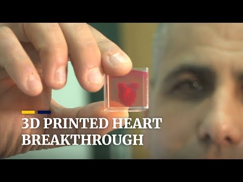Israeli scientists print 3D heart with human tissue and vessels