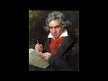 Symphony No 5   Allegro Con Brio   Ludwig van Beethoven 10 Hours Version 1