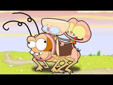 Mongo é drongo levam senhor samsa para passear