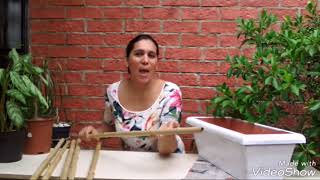 Decoración| arreglo con cañas de bambú