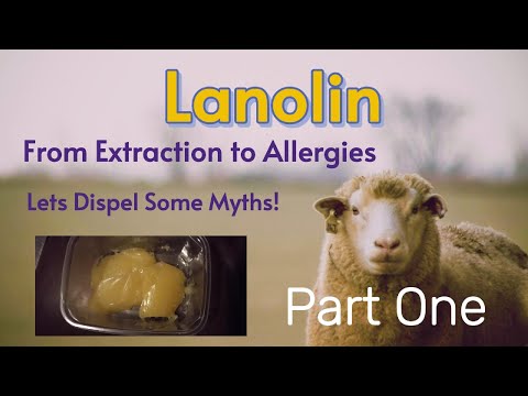 Lanolin - How to extract nature's own moisturiser from Raw Sheep's fleece Part 1