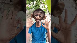 Download lagu Baby monkey so cute cute cut❤️❤️❤️ mp3