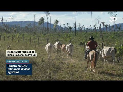 Senado e governo negociam projeto sobre renegociação de dívidas rurais