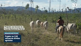Senado e governo negociam projeto sobre renegociação de dívidas rurais