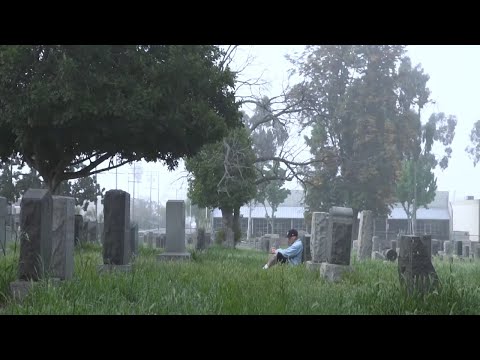 PECKS ONE - SOUL (Official Music Video)