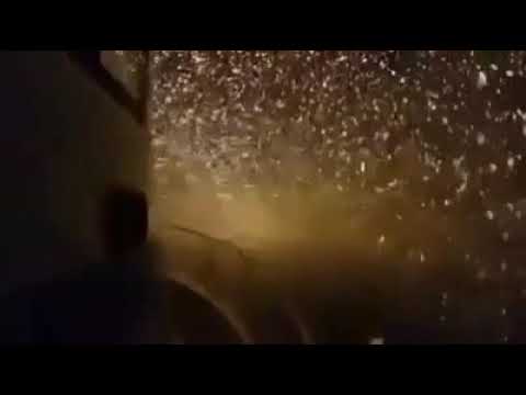 Amin Bani & Farnaz Maleki