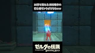祠を攻略してる せっかち初心者リンクｗｗ【ゼルダの伝説 ブレス オブ ザ ワイルド】