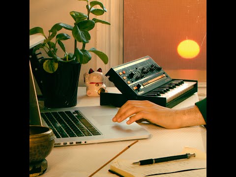 seiji oda & lil ricefield ~ gochujang