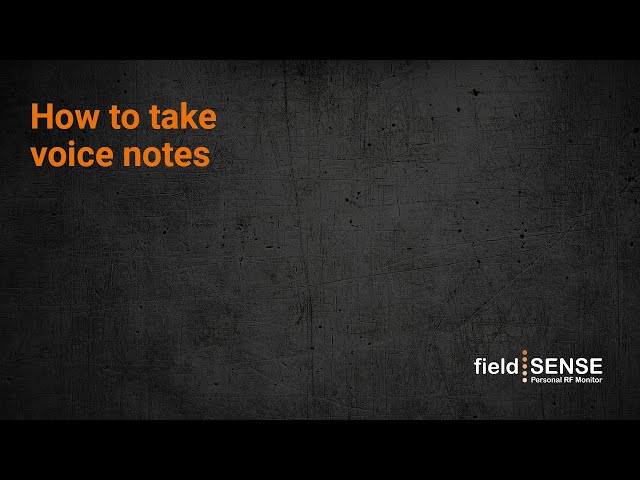 How to take voice notes