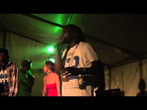 Camp AllStars & Goatmét Sound (1) @ LB27 Reggae Camp, 2013 Hatvan