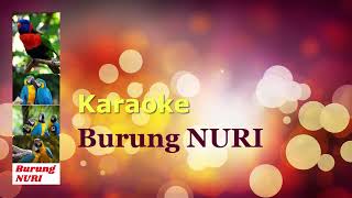 Download lagu Karaoke : Joget Burung Nuri (Tanpa Vocal) mp3