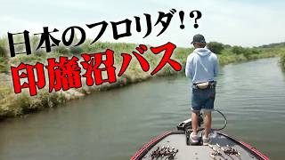 釣果情報