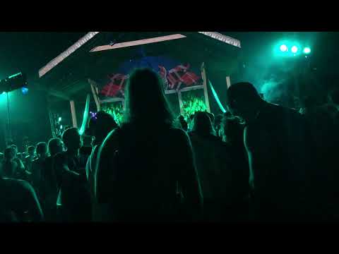 Shambhala Grove Reunion - Lazy Syrup Orchestra 2