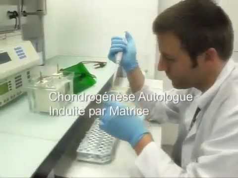 comment renforcer cartilage genou