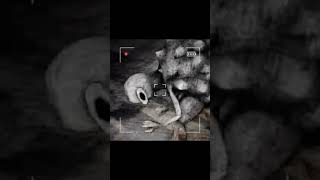【6日目】怖い映像を撮りたいのにカスホームビデオになっちゃう【Content Warning】