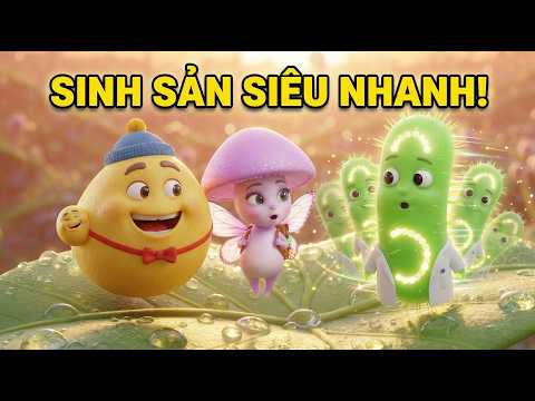 Thumbnail: Các hình thức sinh sản ở vi sinh vật – Học là nhớ ngay