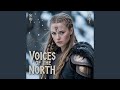 Nordic Night Watch