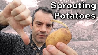 Sprouting Potatoes – Everything You’ll Want to Know!
