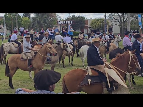 "TARDE DE TRADICIÓN GAUCHA" Sacamos al bayo al desfile del (Dia de la tradición) 🇦🇷