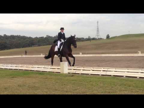 FEI 2*B eventing dressage test - Lauren & Magic