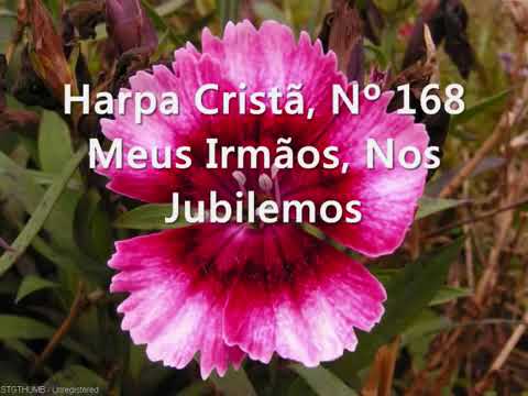 168 My brothers, let us rejoice.