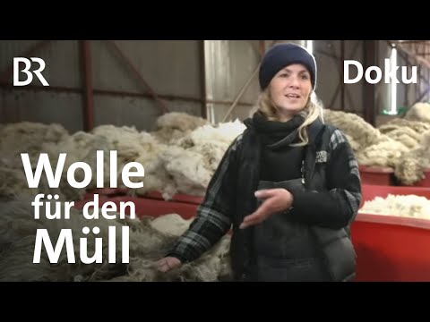 , title : 'Schafwolle verarbeiten lohnt sich nicht mehr: Ein Rohstoff ohne Zukunft? | DokThema | Doku | BR'