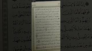 رؤى دقينش  دينى  شكر للاصدقاء وسبب غيابى الفترة الماضية