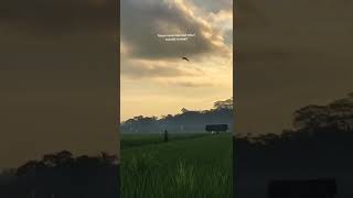 Download lagu Story wa nyindir teman || bahasa jawa mp3