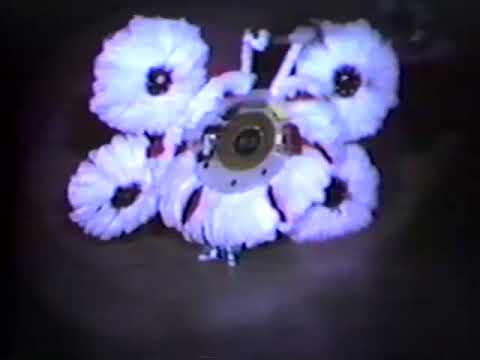 1983 Avalon String Band - Convention Hall