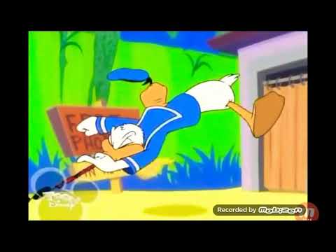 Donald Duck calling the aracuan bird