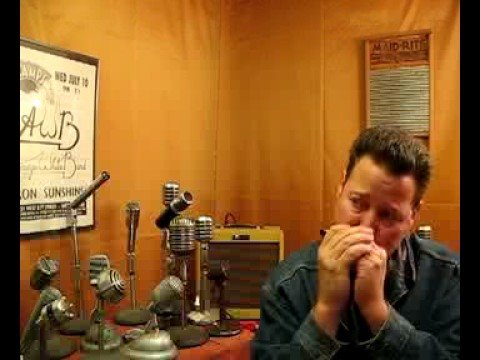 Shure NOS Controlled Magnetic Element Hi-Z in Box-HOT!