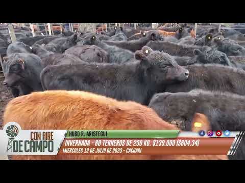 Resumen del remate de Hugo R. Aristegui - Miér. 12 de julio de 2023 - Cacharí