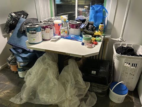 Renovating Lisa's Place