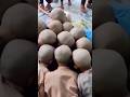 Takla Day Of Madarsa Students Shorts Viralshorts Viral Trendingshorts Viralvideo Takla