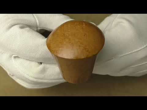 Ser Jacopo Domina 2020 L2 D - pipe 1181