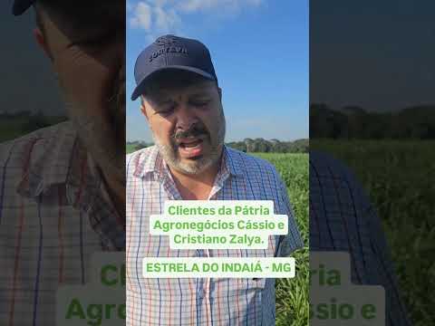 Clientes da Pátria Agronegócios Cássio e Cristiano Zalya.ESTRELA DO INDAIÁ - MG