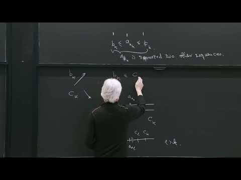 Bolzano–Weierstrass Theorem; Cauchy Sequences; Series