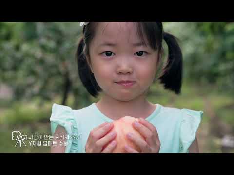 청정 자연 영천에서 만나는 ONE AND ONLY, 영천 복숭아