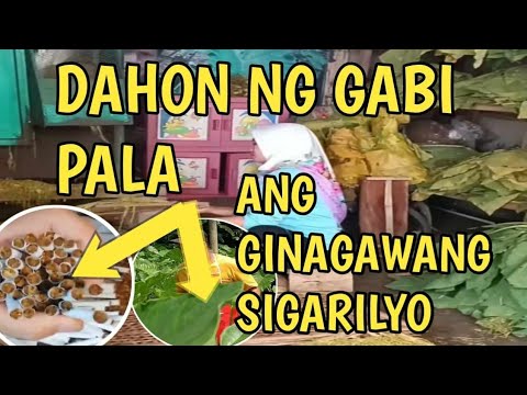 DAHON NG GABI GINAGAWANG SIGARILYO SA IBANG BANSA