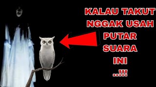 Download lagu NGERI !!! Suara Kuntilanak Ketawa & Burung Hantu Di Malam Hari !!! mp3 Download lagu NGERI !!! Suara Kuntilanak Ketawa & Burung Hantu Di Malam Hari !!! mp3
