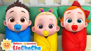 Download lagu Merawat Bayi Lucu 👶🎨 | Belajar Warna | Lagu Seru | Lagu Anak-anak | LiaChaCha Bahasa Indonesia mp3 Download lagu Merawat Bayi Lucu 👶🎨 | Belajar Warna | Lagu Seru | Lagu Anak-anak | LiaChaCha Bahasa Indonesia mp3