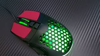 T Wolf M4led