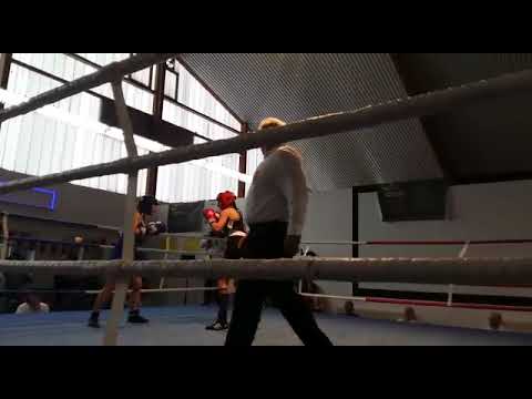 Boxclub Preetz in der Freien Turnerschaft Preetz e.V. von 1897