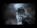 The Jezabels - A Little Piece (lyrics) 