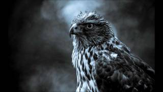 The Jezabels - A Little Piece (lyrics)