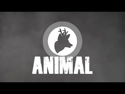 ANIMAL Biribirlocke #euquedonacasa #sonunanimal