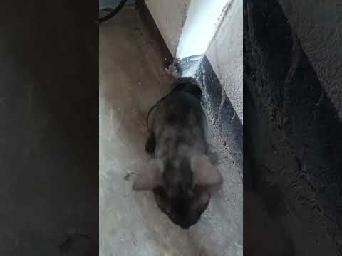 14 กรกฎาคม ค.ศ. 2025