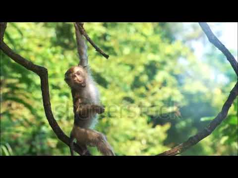 Короткометражка: 5opka feat OTURRO 'Оберег'