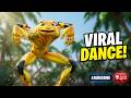 Patila In Dame Tu Cosita Style Pachin Baby Calm Down FULL HD