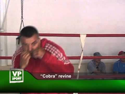 “Cobra” revine